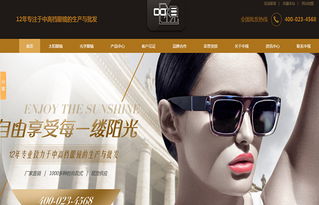 廣州中視眼鏡營銷型網站建設案例 構建線上視力健康門戶，驅動眼鏡銷售增長